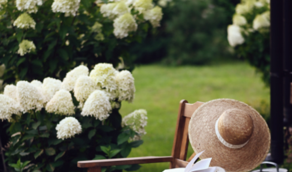 Biela záhrada – kvety, tráva, kríky a nábytok