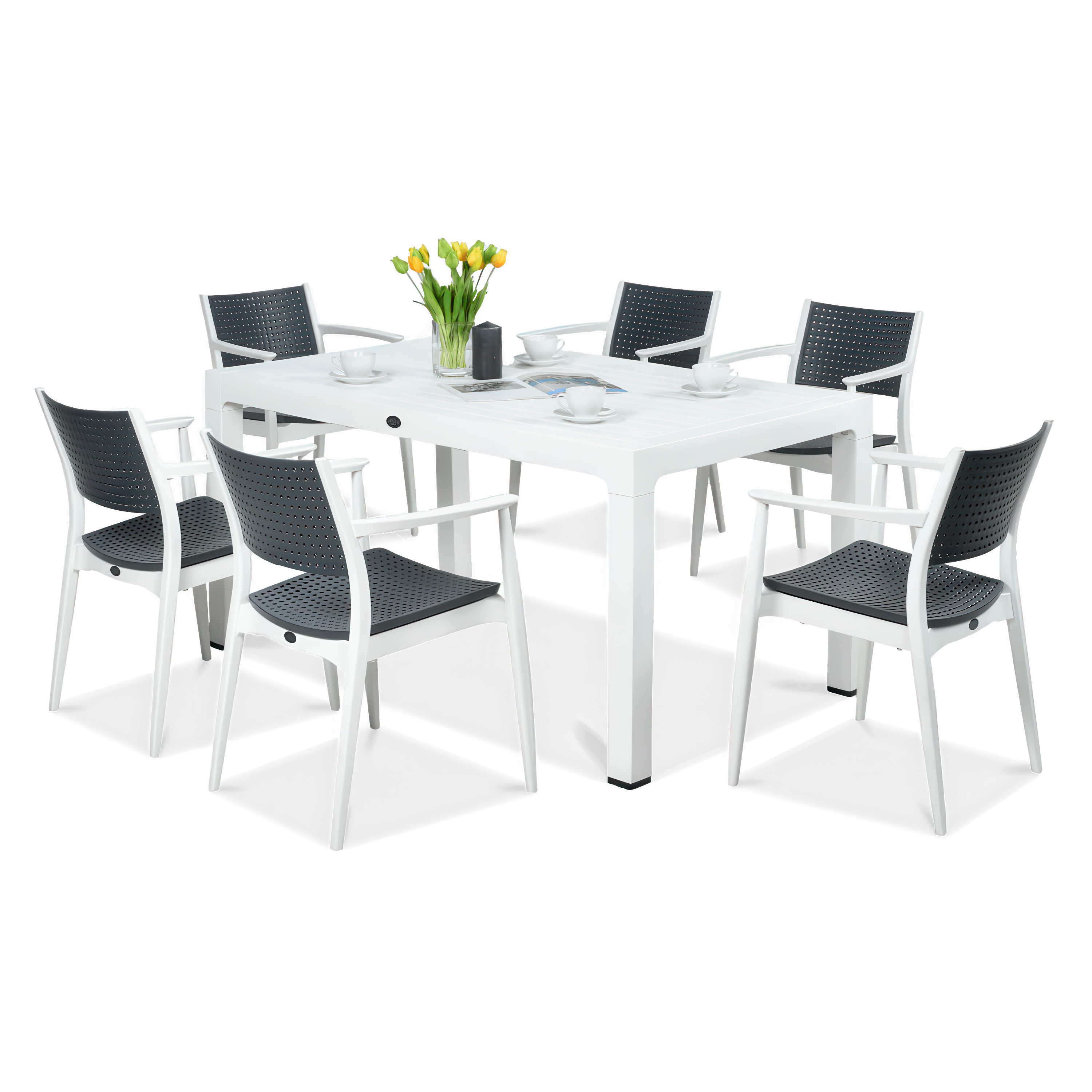 Novussi jedálenský nábytok SEGINUS 6+1 biela/antracitová