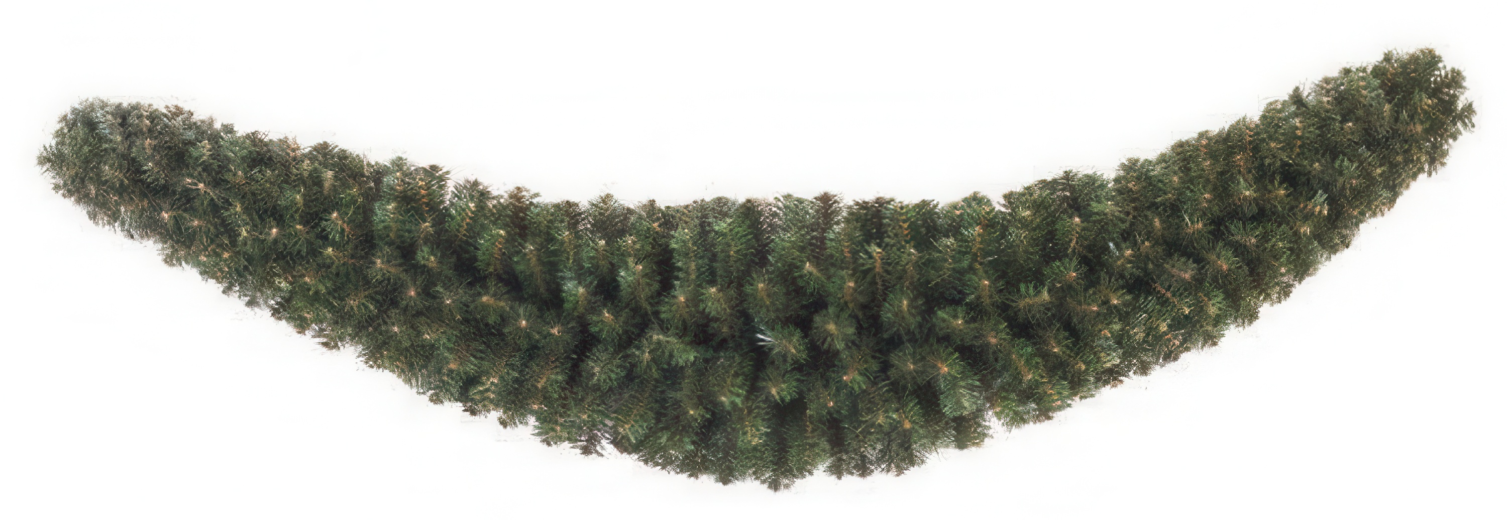 Smrekový veniec COMET dĺžka 180cm