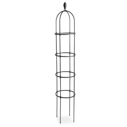 Pergola s čiernymi ružami, výška 210 cm, kov - Cultivo