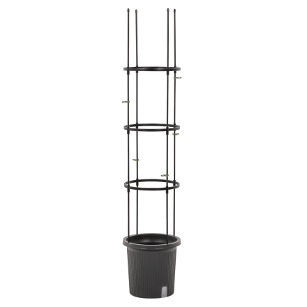 Čierny kvetináč na paradajky s oporou Cultivo Tomato Tube s výškou 148 cm na čiernom pozadí