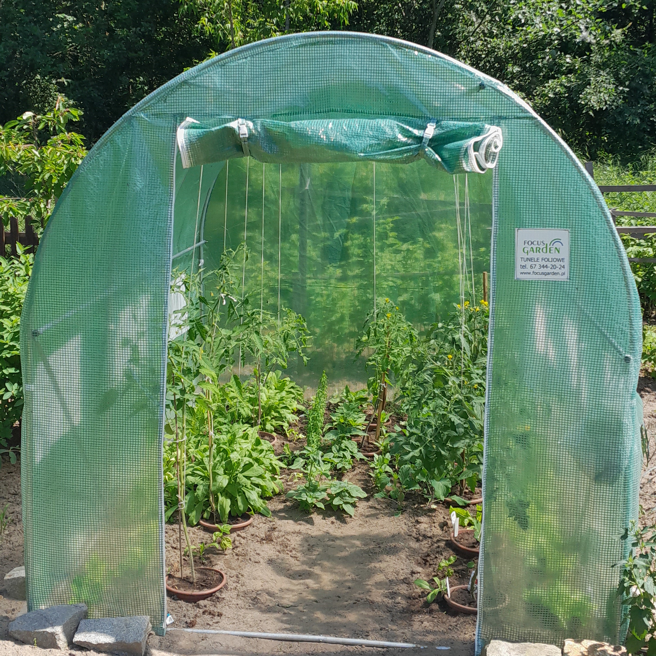 Záhradný fóliovník Cultivo 2x3 m (6 m2) - zelený fotografia realizácie 3