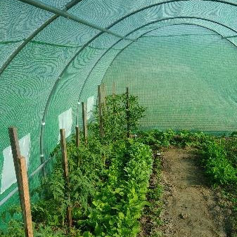 Záhradný fóliovník Cultivo 3x6 m (18 m2) zelený fotografia realizácie 3