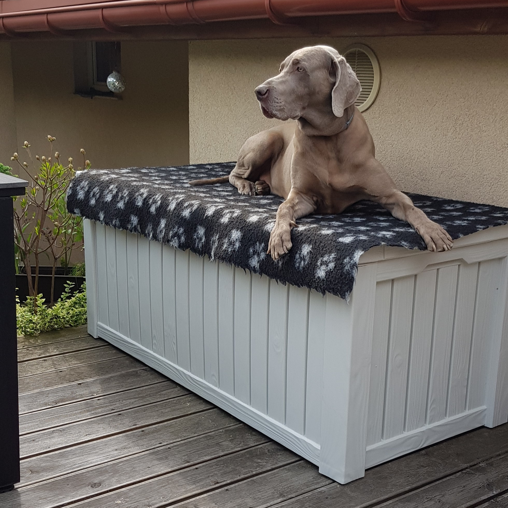 Záhradný úložný box Keter Rockwood 570L krémový fotografia realizácie 1