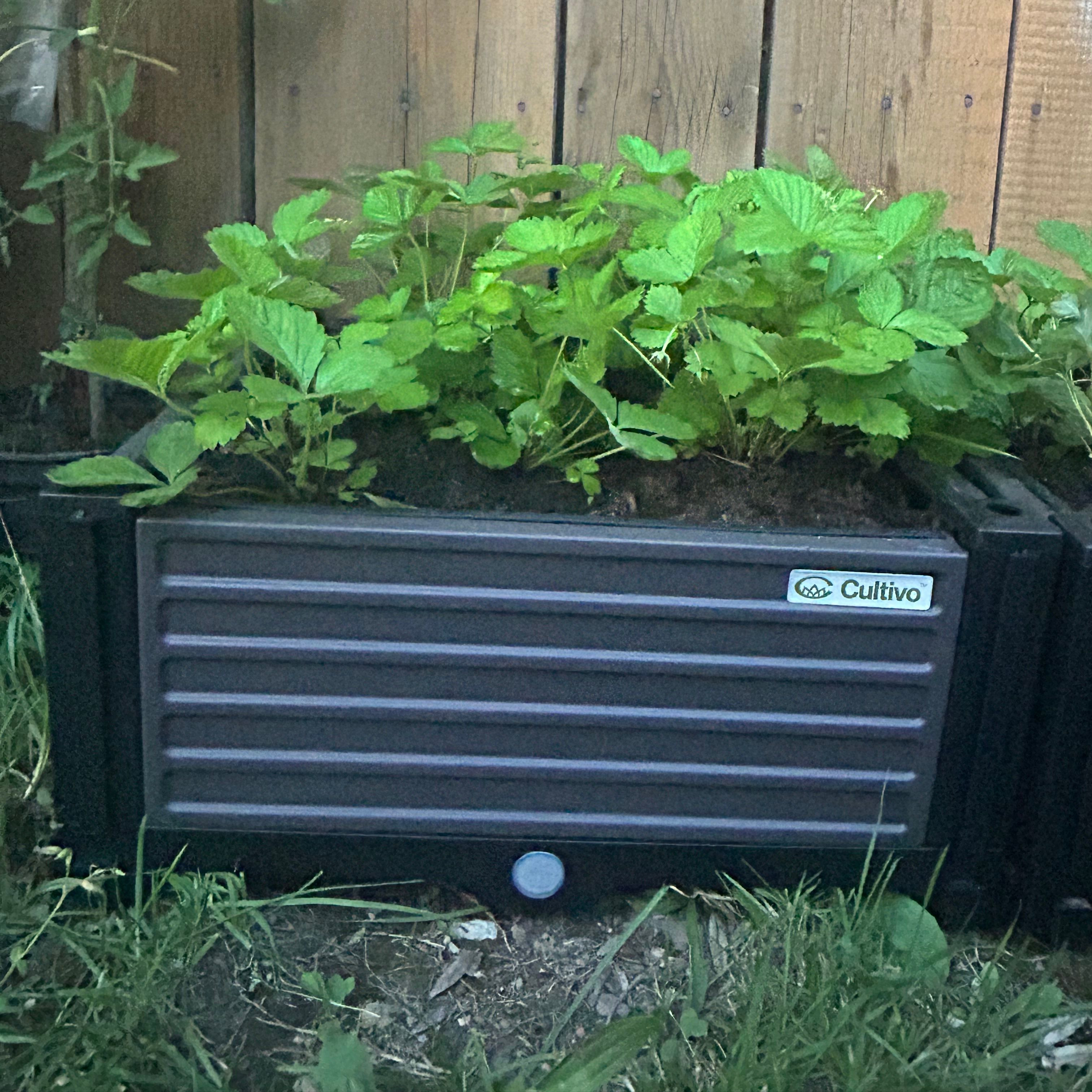 Vyvýšený záhon Cultivo GROW CUBE S 41x41x17 cm fotografia realizácie 1