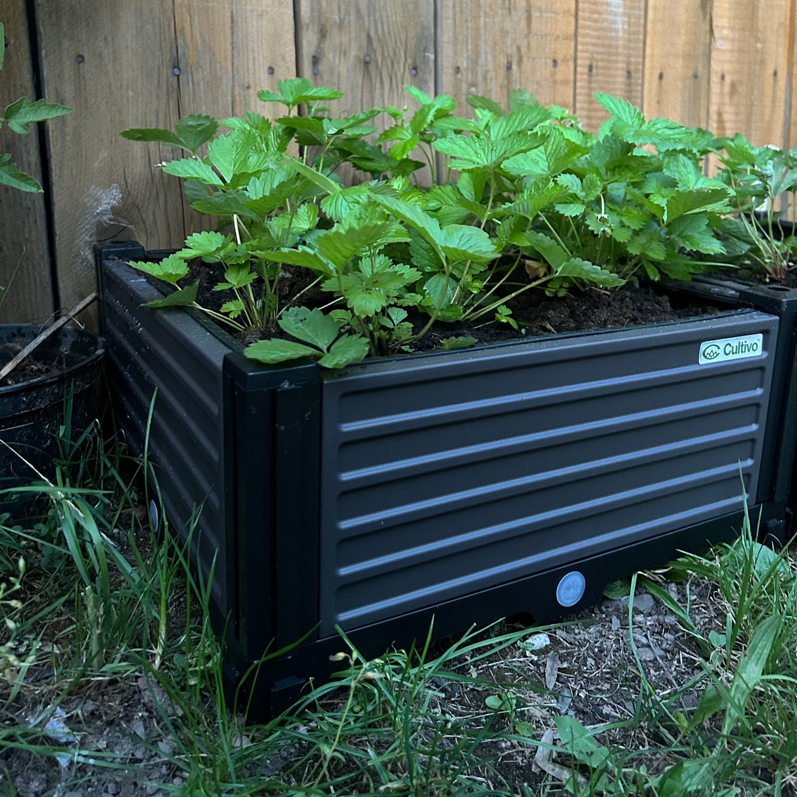 Vyvýšený záhon Cultivo GROW CUBE S 41x41x17 cm fotografia realizácie 3