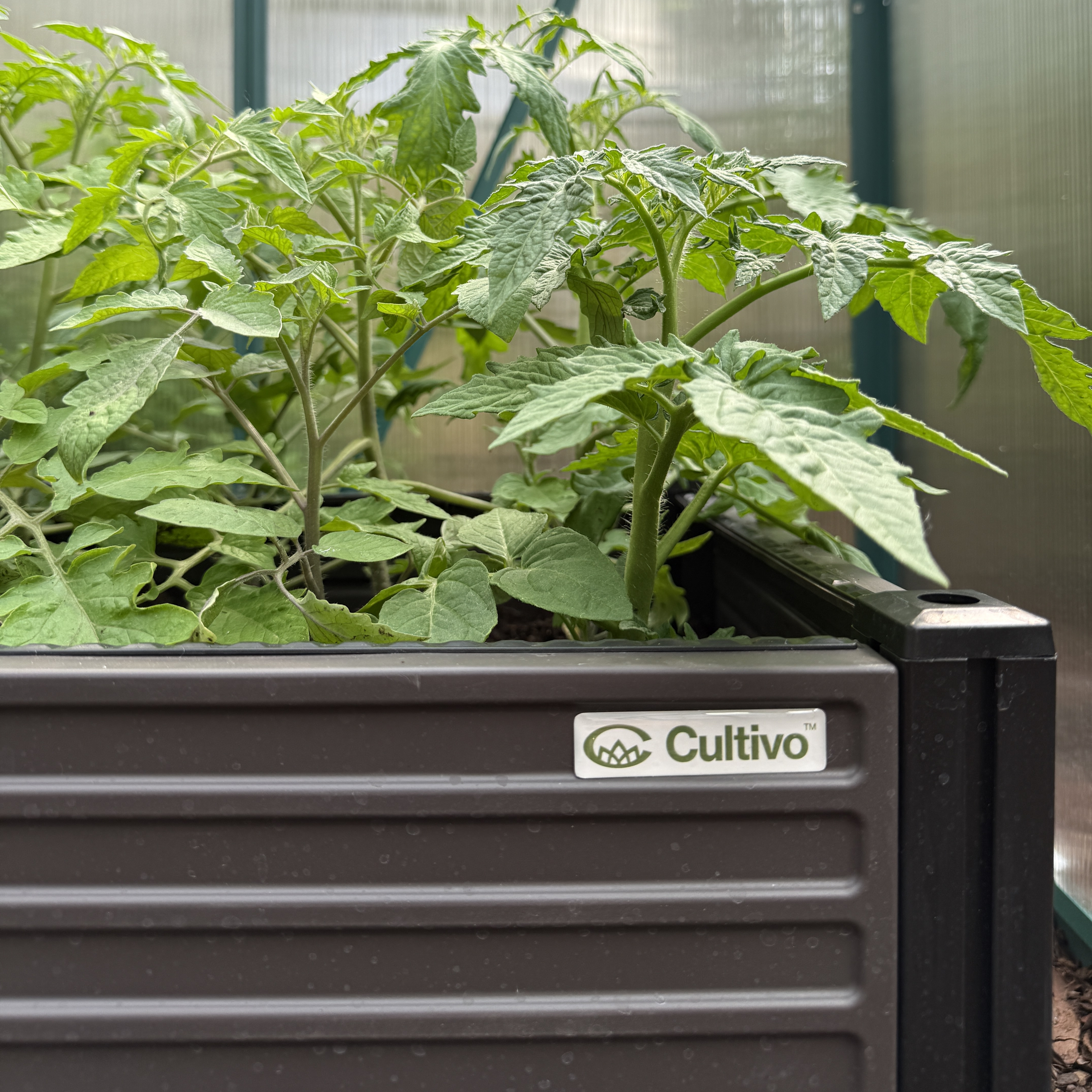 Vyvýšený záhon Cultivo GROW BOX XL 164x41x31 cm fotografia realizácie 6