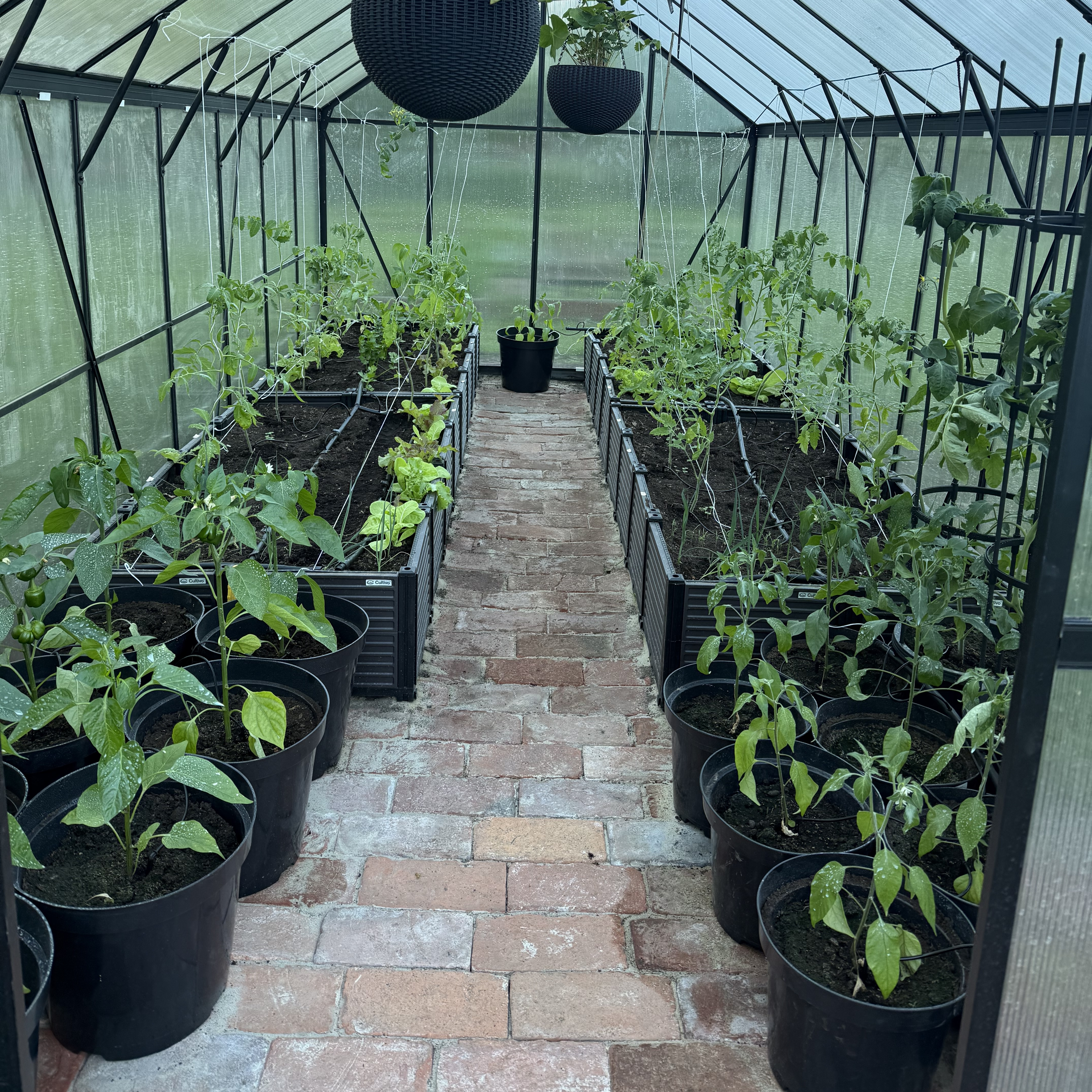 Kvetináč na paradajky s oporou Cultivo Tomato Tube 148 cm fotografia realizácie 3
