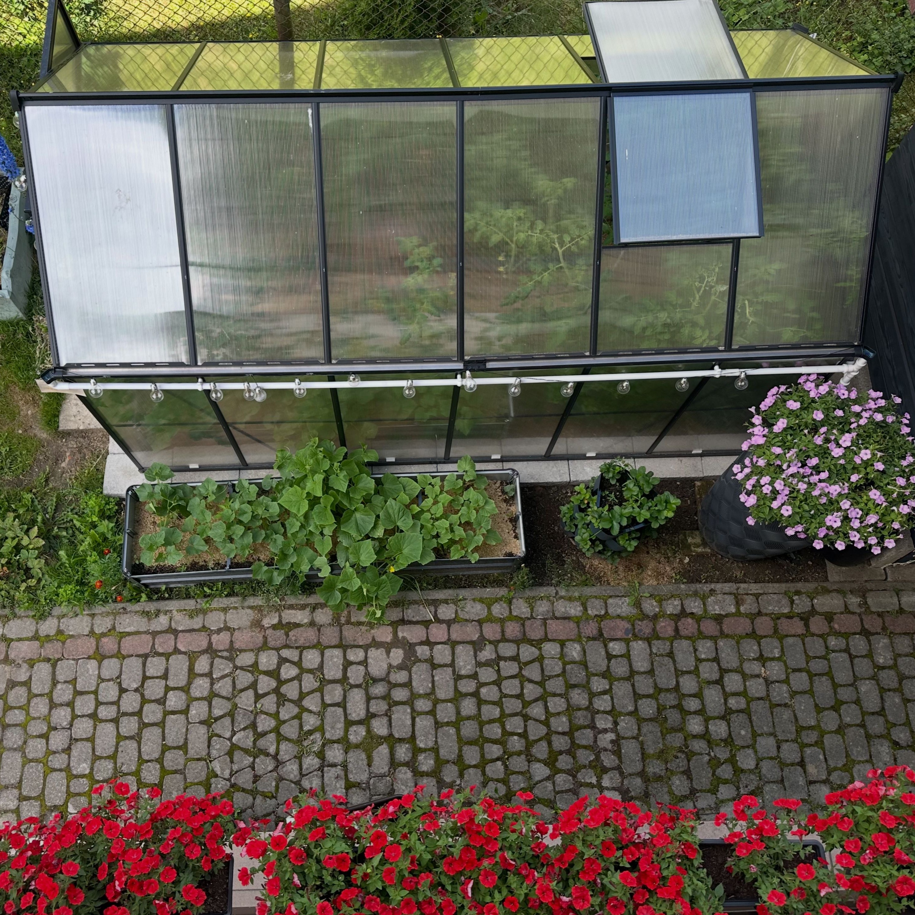 Polykarbonátový skleník Cultivo Slide-In 183x361 cm čierny fotografia realizácie 10