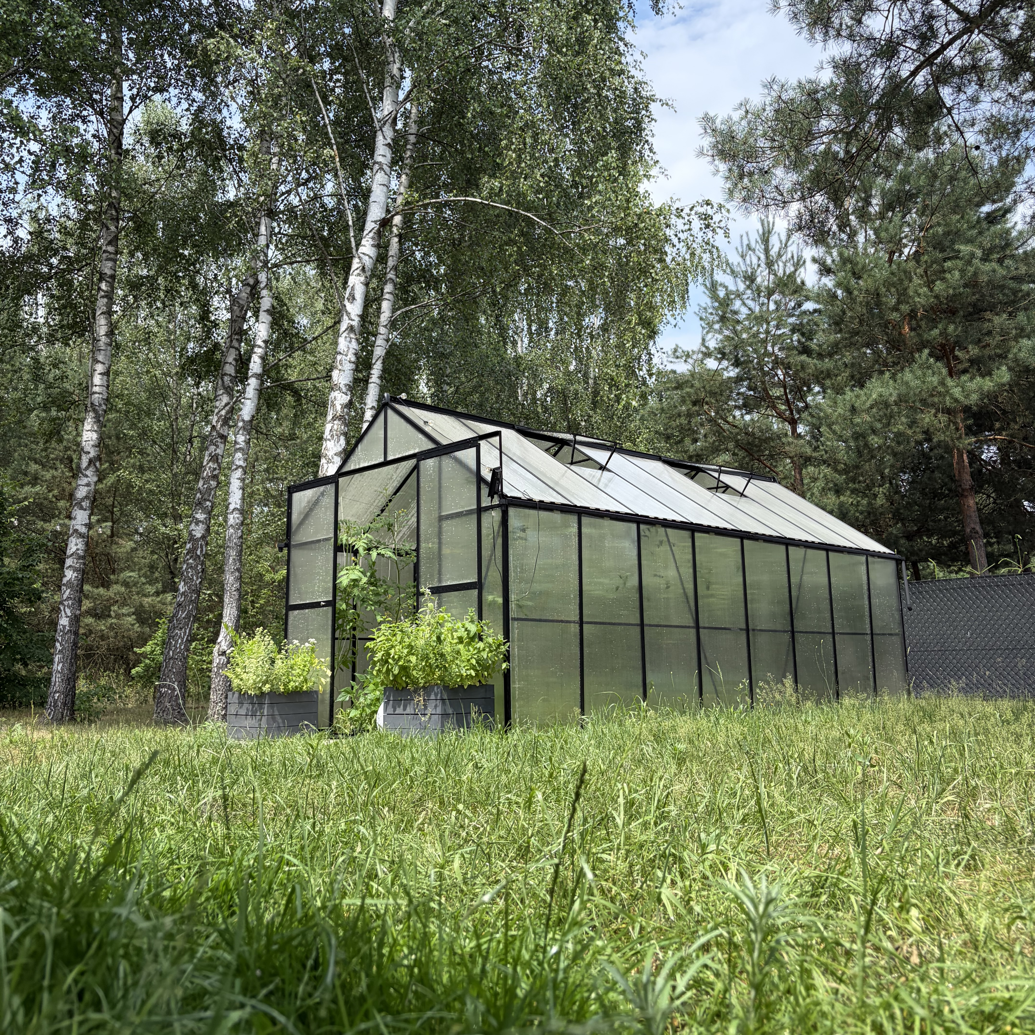 Polykarbonátový skleník Cultivo Slide-In 244x490 cm čierny fotografia realizácie 11